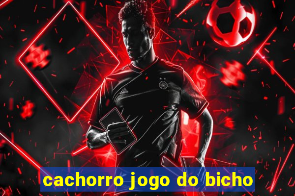 cachorro jogo do bicho